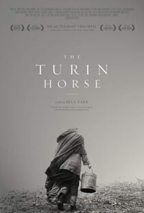 دانلود فیلم The Turin Horse 201110493-1209571408