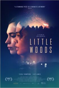 دانلود فیلم Little Woods 201822292-2005202683