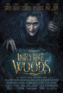 دانلود فیلم Into the Woods 20143675-1863880218