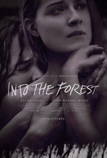 دانلود فیلم Into the Forest 20159776-2090579194