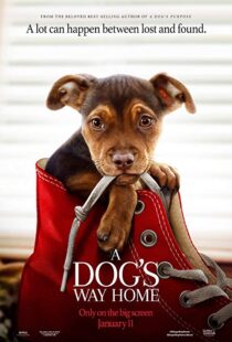 دانلود فیلم A Dog’s Way Home 20198110-1698432432