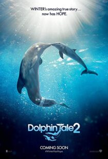 دانلود فیلم Dolphin Tale 2 201421312-628856523