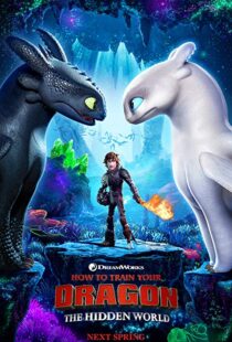 دانلود انیمه How to Train Your Dragon: The Hidden World 201919855-502000670