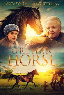 دانلود فیلم Orphan Horse 20188125-239953580