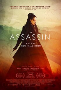 دانلود فیلم The Assassin 201513760-422798092