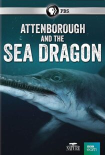 دانلود مستند Attenborough and the Sea Dragon 20188753-1827246727