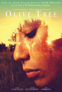 دانلود فیلم The Olive Tree 201615934-817363544