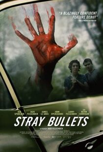 دانلود فیلم Stray Bullets 20169530-1249094187