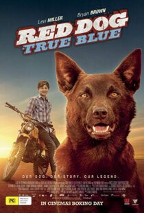 دانلود فیلم Red Dog: True Blue 20168899-1552467937