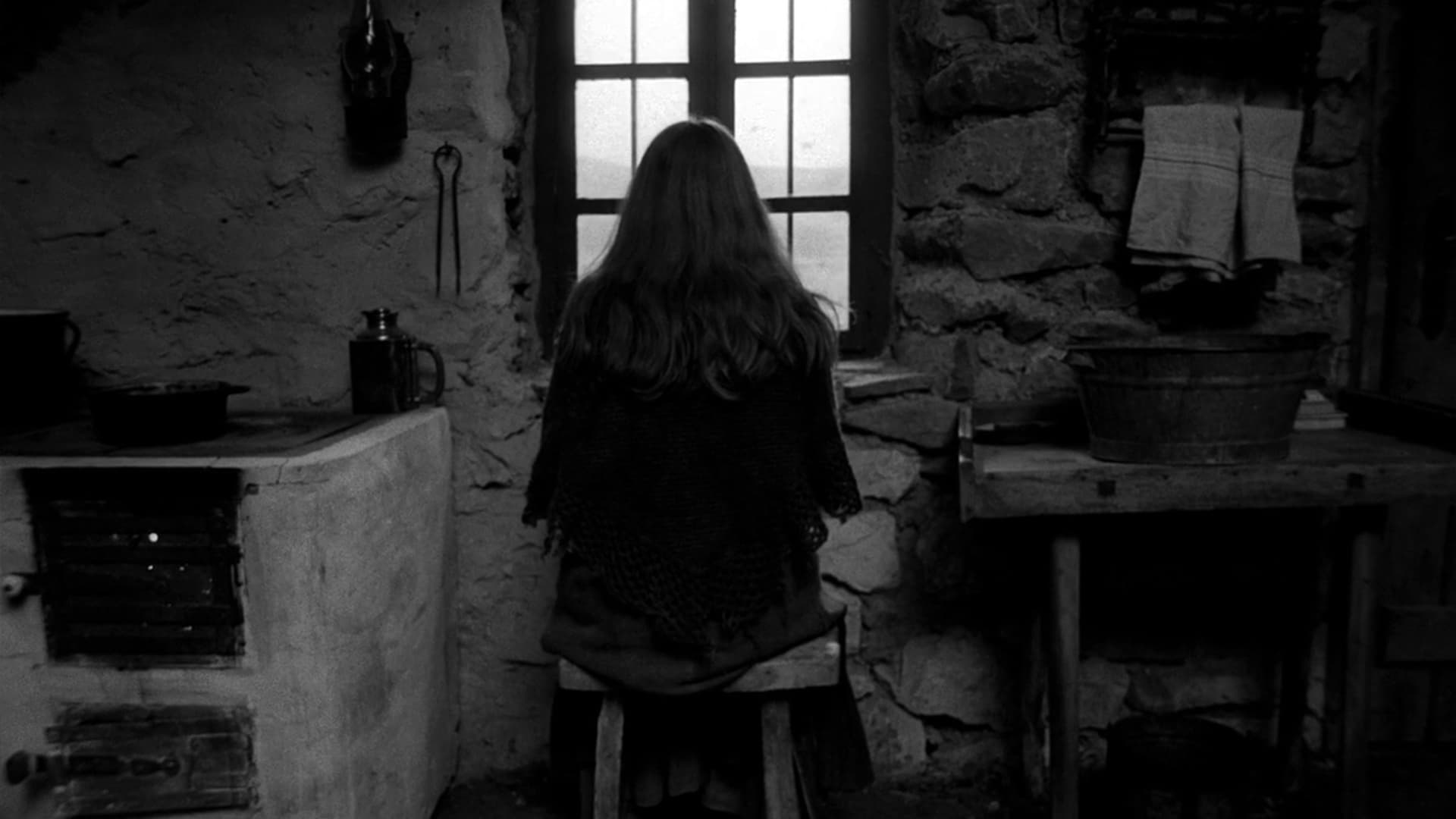 دانلود فیلم The Turin Horse 2011