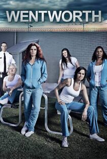 دانلود سریال Wentworth49504-2013707464