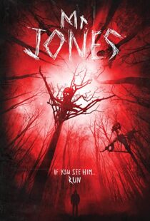 دانلود فیلم Mr. Jones 201337611-2028516156