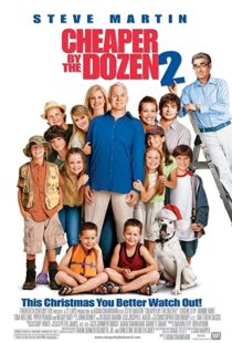 دانلود فیلم Cheaper by the Dozen 2 200534536-338907287