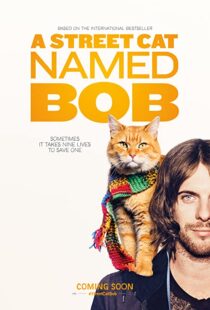 دانلود فیلم A Street Cat Named Bob 201641621-926555240