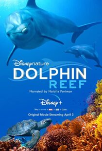 دانلود مستند Dolphin Reef 201838724-284732300