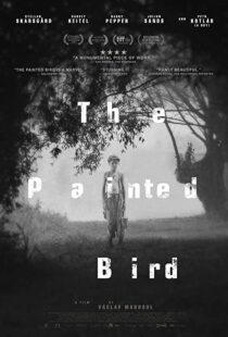 دانلود فیلم The Painted Bird 201943285-553890944