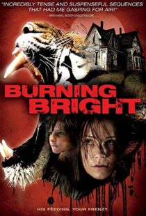 دانلود فیلم Burning Bright 201049964-281099886