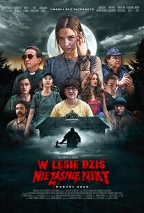 دانلود فیلم Nobody Sleeps in the Woods Tonight 202053095-248100121