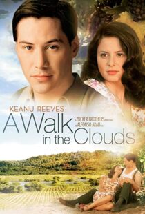 دانلود فیلم A Walk in the Clouds 199553815-1420572147