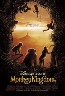 دانلود مستند Monkey Kingdom 201554583-139688439