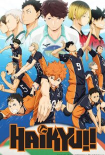 دانلود انیمه Haikyu!!80601-1182276663