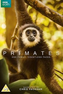 دانلود مستند Primates77865-1079799837