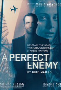 دانلود فیلم A Perfect Enemy 202082295-1861300588