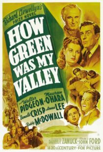 دانلود فیلم How Green Was My Valley 194181855-1574181653