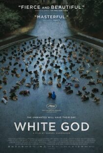 دانلود فیلم White God 201482109-1966199910