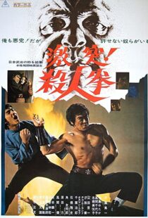 دانلود فیلم The Street Fighter 197483791-1211254497