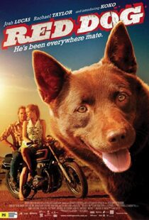 دانلود فیلم Red Dog 201187414-1024208762