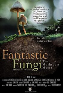 دانلود مستند Fantastic Fungi 2019100518-777616922