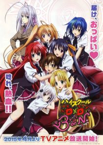 دانلود انیمه High School DxD100222-290524694