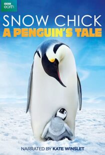 دانلود مستند Snow Chick: A Penguin’s Tale 2015109604-2084166523