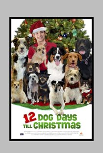 دانلود فیلم 12 Dog Days Till Christmas 2014100712-1458575812