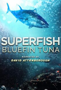 دانلود مستند Superfish Bluefin Tuna 2012101607-1649893297