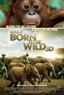 دانلود مستند Born to Be Wild 2011110503-147274422