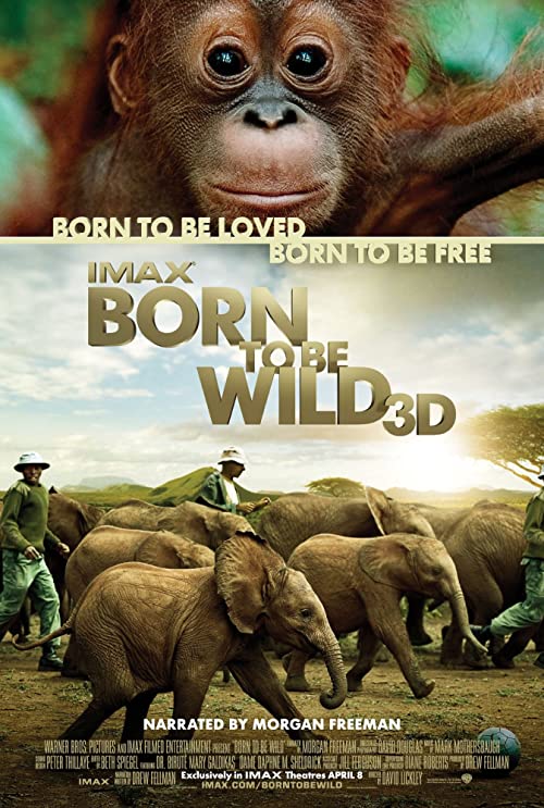 دانلود مستند Born to Be Wild 2011