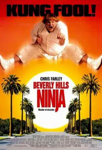 دانلود فیلم Beverly Hills Ninja 1997111541-855956419