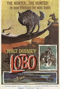 دانلود فیلم The Legend of Lobo 1962111441-1724990597