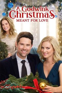 دانلود فیلم A Godwink Christmas: Meant for Love 201931842-1459351102