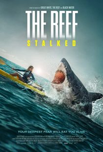 دانلود فیلم The Reef: Stalked 2022234702-881852160