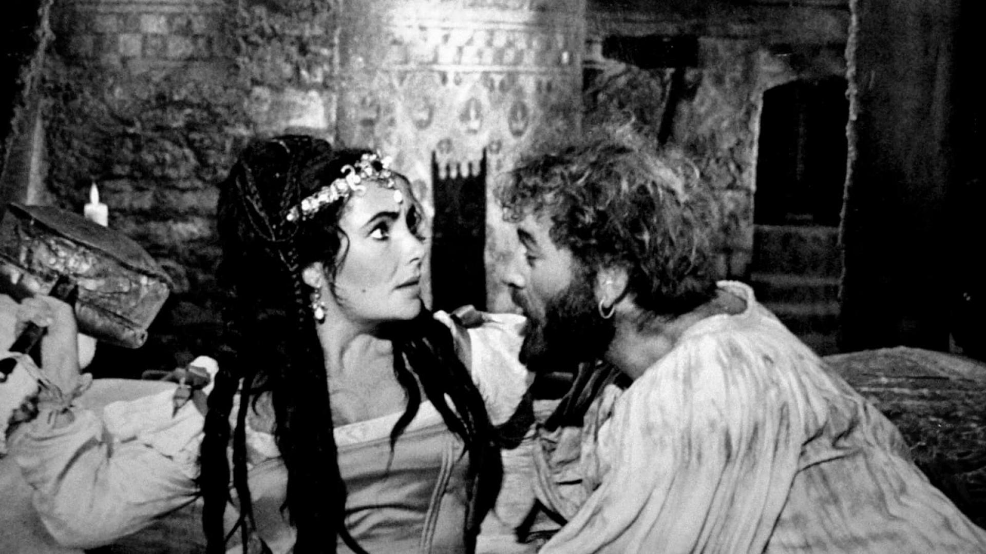 دانلود فیلم The Taming of The Shrew 1967