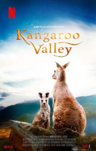 دانلود فیلم Kangaroo Valley 2022322977-45331729