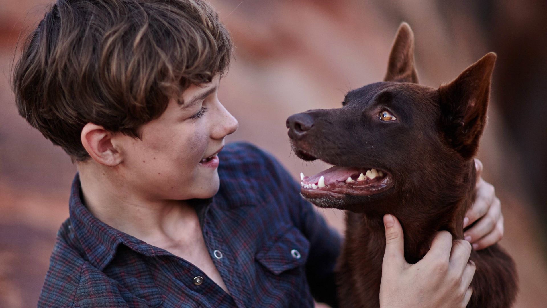 دانلود فیلم Red Dog: True Blue 2016