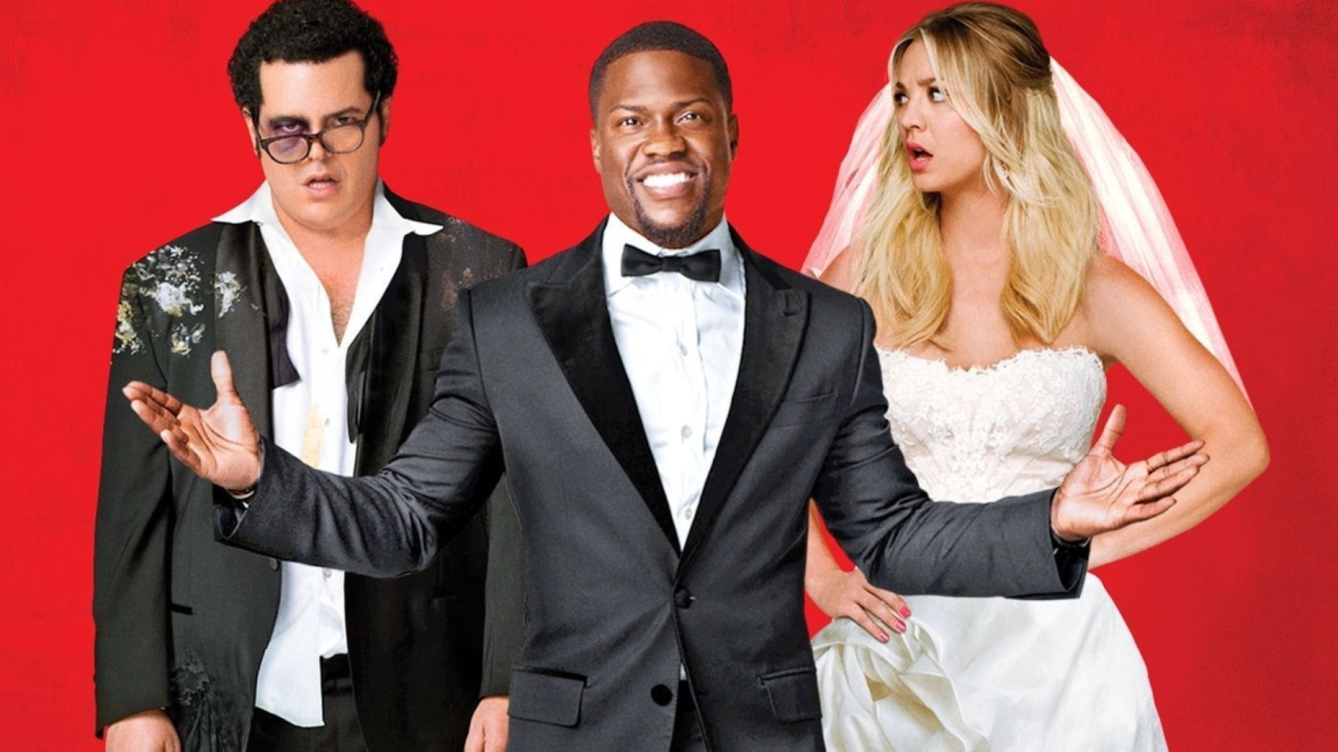 دانلود فیلم The Wedding Ringer 2015