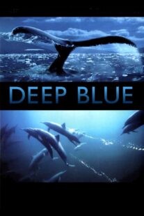 دانلود فیلم Deep Blue 2003333037-551373045