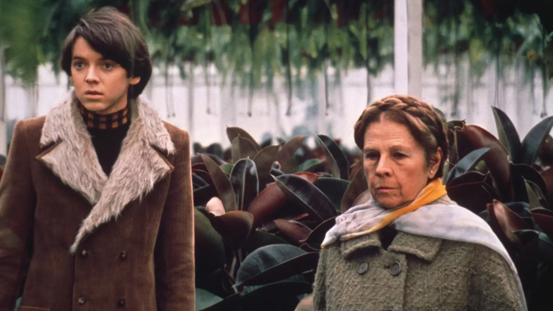 دانلود فیلم Harold and Maude 1971