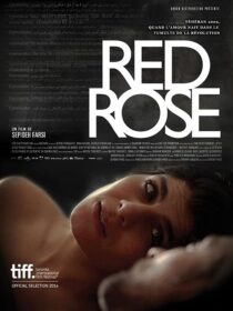 دانلود فیلم Red Rose 2014373098-472095905