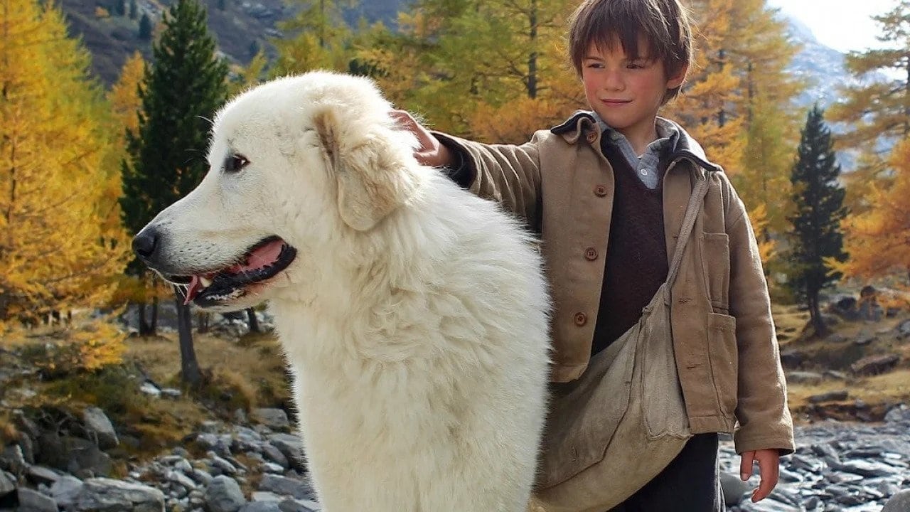 دانلود فیلم Belle & Sebastian 2013